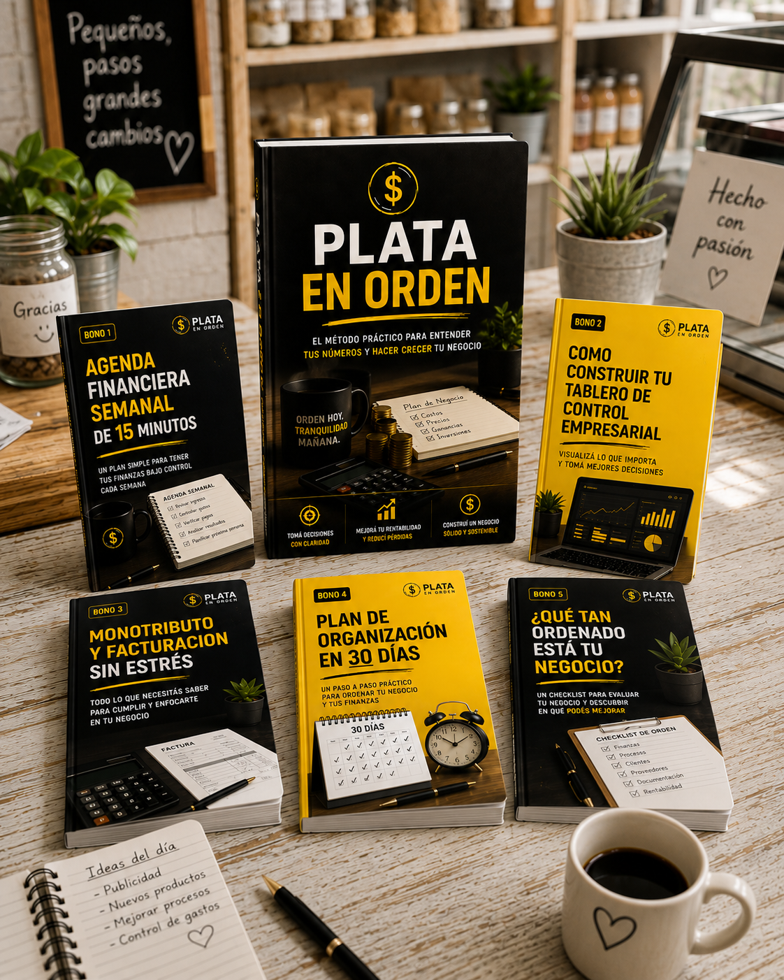 PLATA EN ORDEN: Ordena y entende donde esta la plata de tu emprendimiento